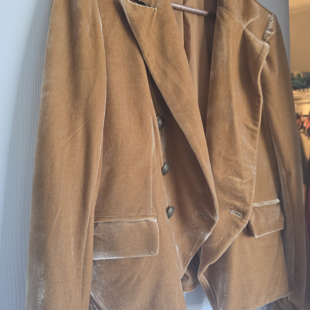 Rachel Zoe Velvet Blazer - Picture 6 of 9
